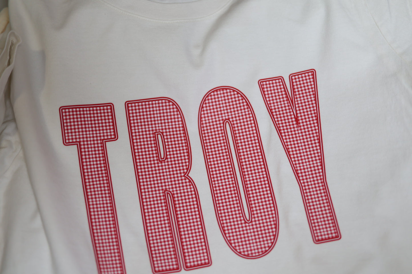 bold TROY lettering filled with a red and white gingham pattern and outlined in red