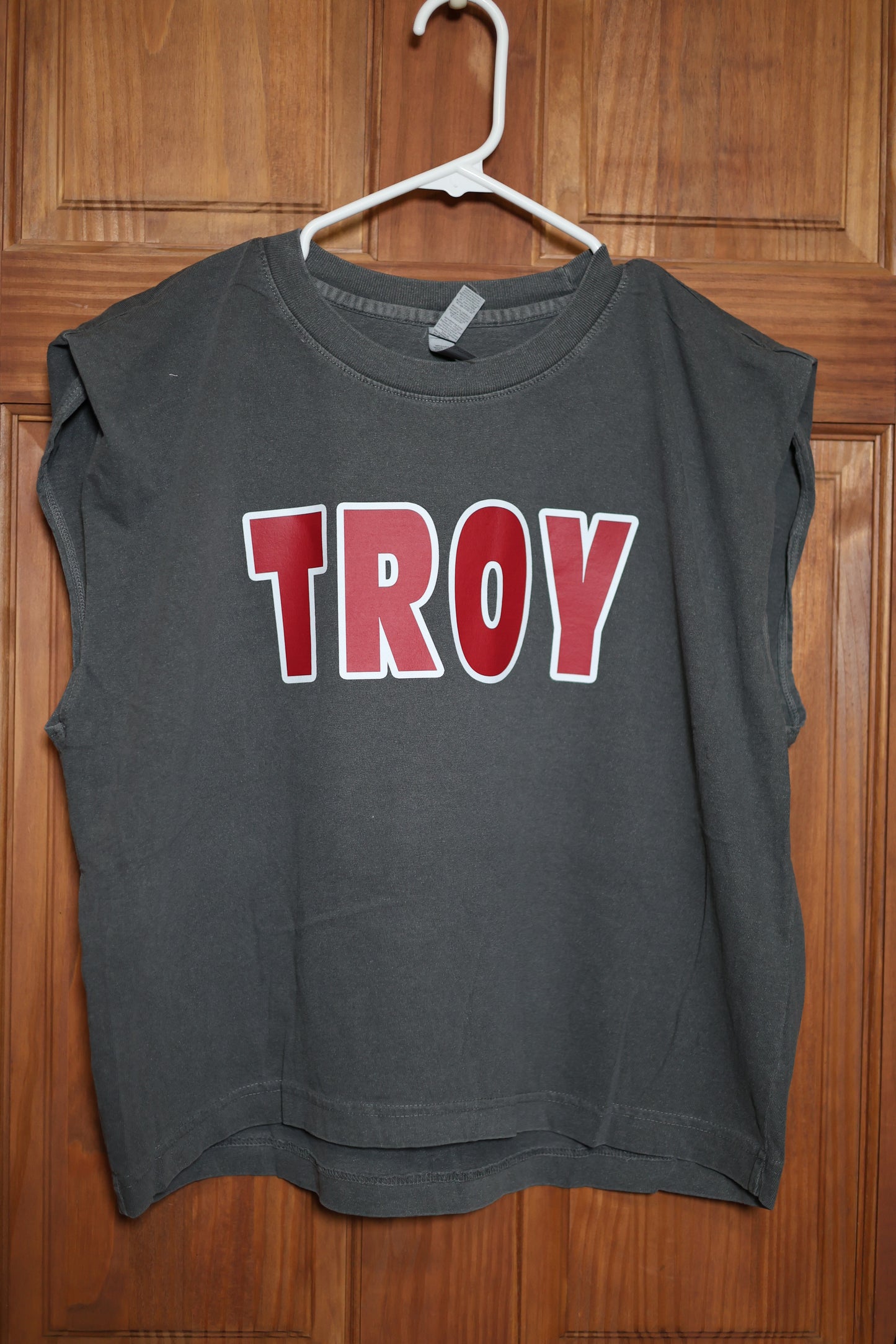 Charcoal gray muscle tank featuring bold red and white TROY lettering on the front, displayed on a hanger against a wooden background.