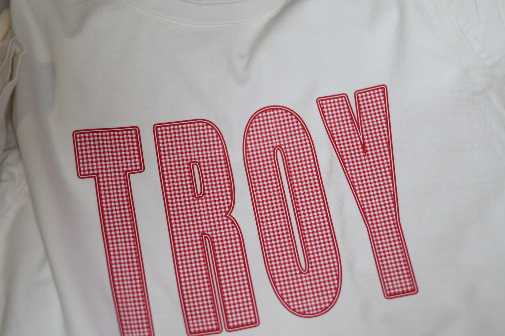 bold TROY lettering filled with a red and white gingham pattern and outlined in red