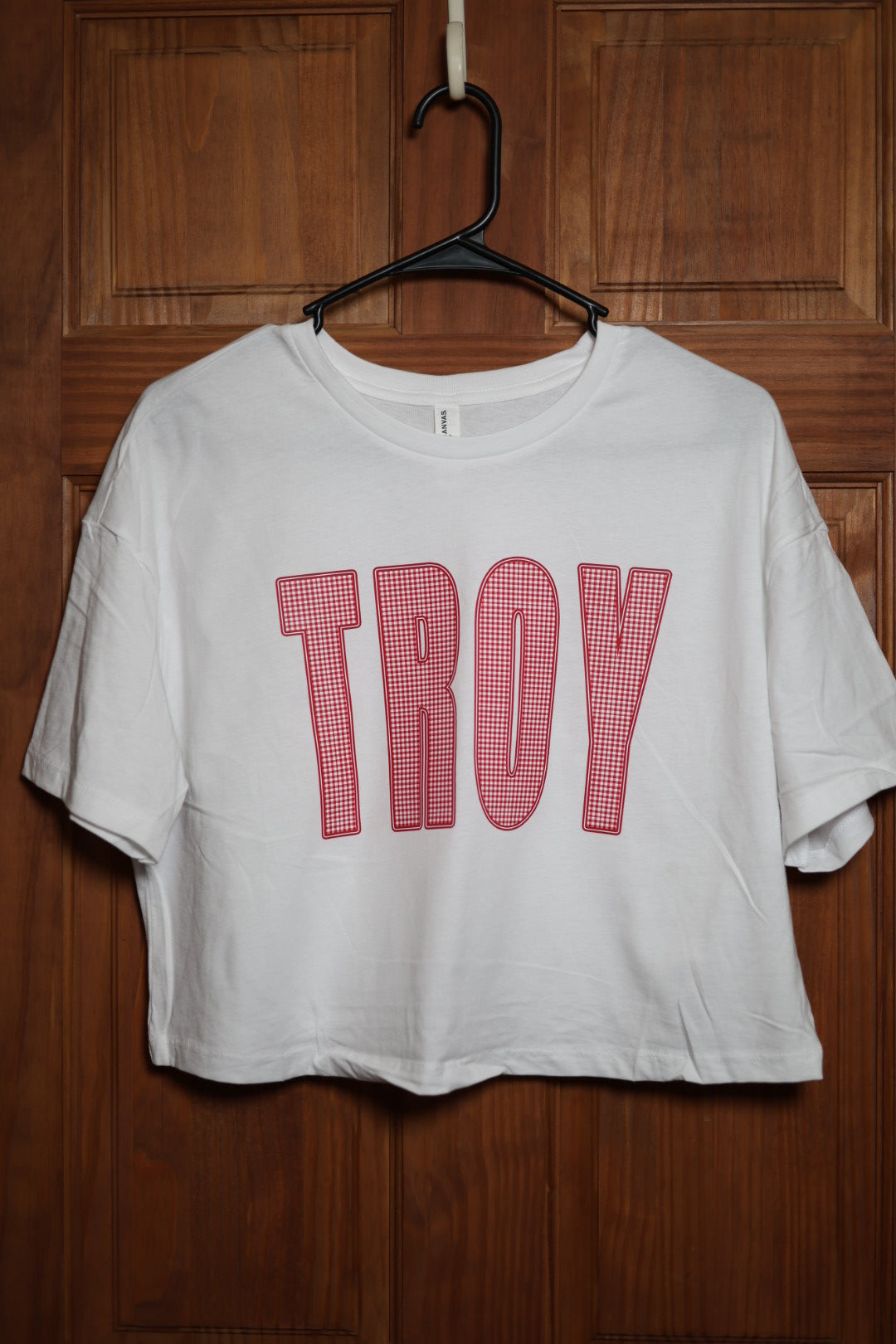 White graphic, cropped t-shirt featuring bold TROY lettering filled with a red and white gingham pattern and outlined in red.